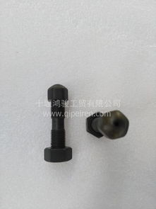 現(xiàn)貨東風(fēng)雷諾D5010477195搖臂調(diào)整螺栓總成 帶螺母設(shè)計(jì)的專業(yè)配件解析