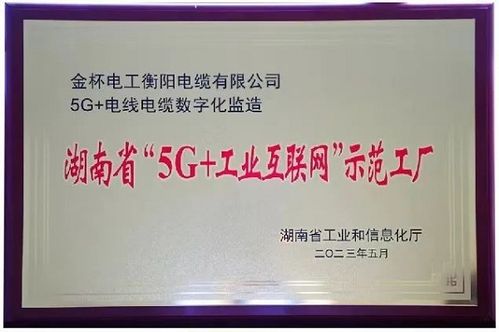 七年磨一劍 金杯電纜獲評湖南省 5g 工業(yè)互聯(lián)網(wǎng) 示范工廠